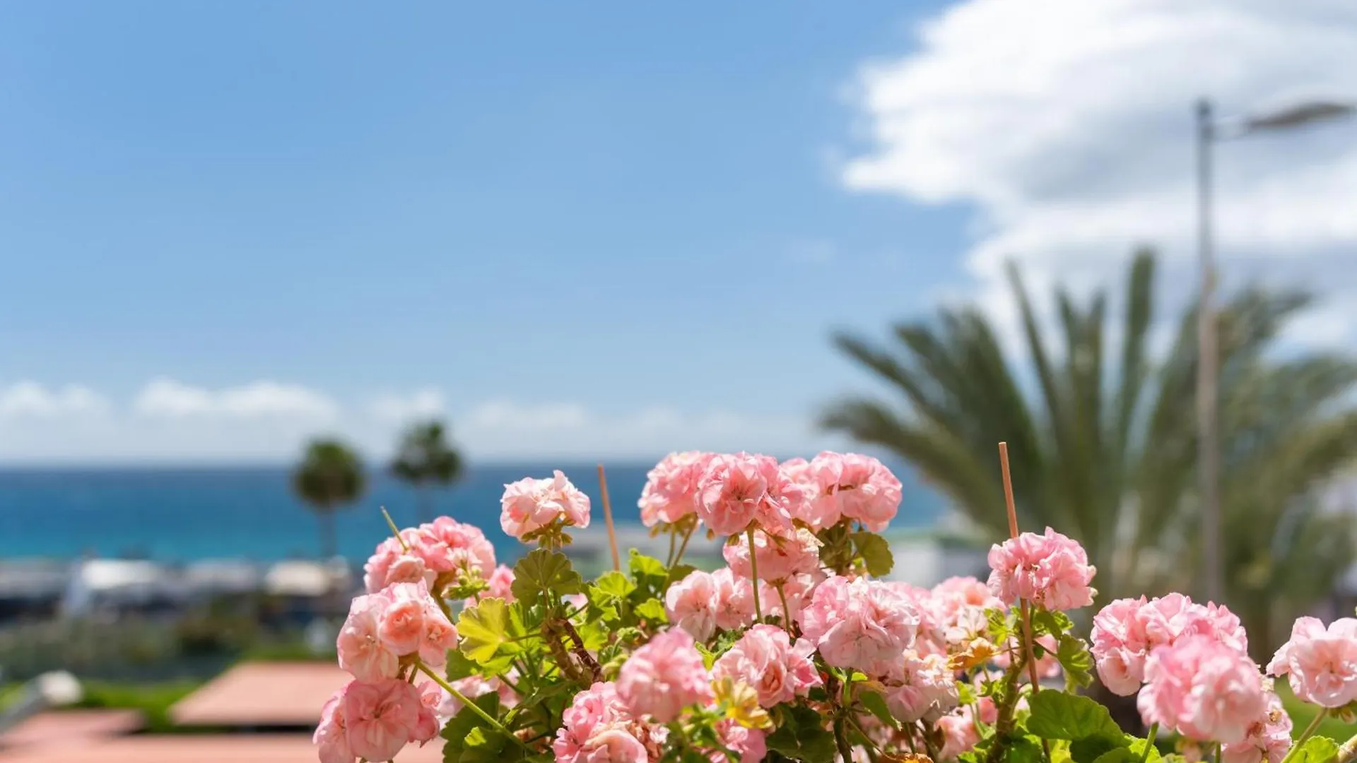 Holiday home Beach House Monte Rojo San Agustin